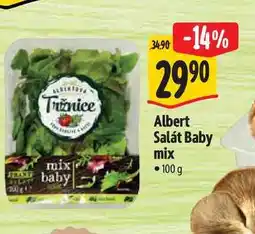 Albert Albert Salát Baby mix nabídka