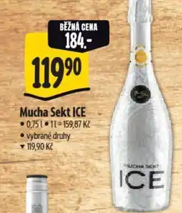 Albert Mucha Sekt ICE nabídka