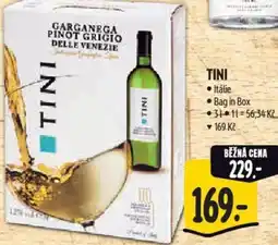 Albert Tini nabídka