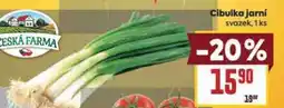Billa Cibulka jarni nabídka