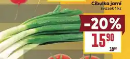 Billa Cibulka jarní nabídka