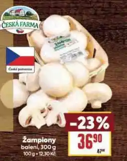 Billa Žampiony nabídka