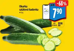 Albert Okurka salátová hadovka nabídka