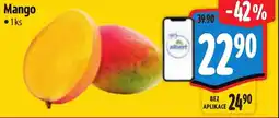 Albert Mango nabídka
