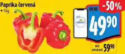 Albert Paprika červená nabídka