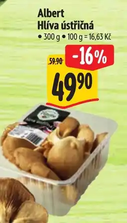 Albert Albert Hlíva ústřičná nabídka