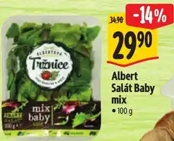 Albert Albert Salát Baby mix nabídka