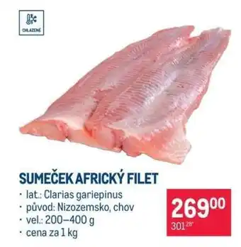 Sumeček africký filet