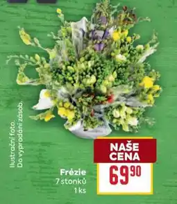 Billa FRÉZIE nabídka