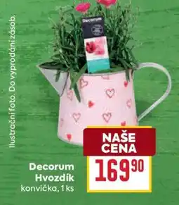 Billa Decorum Hvozdík nabídka