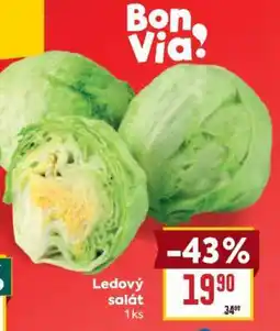 Billa Ledový salát nabídka