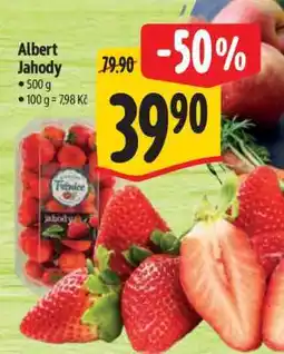 Albert Albert Jahody nabídka