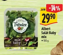Albert Albert Salát Baby mix nabídka