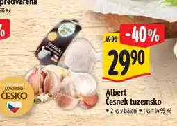 Albert Albert Česnek tuzemsko nabídka