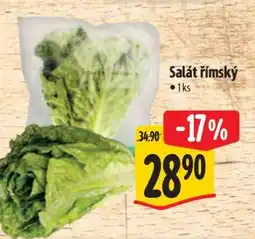 Albert Salát římský nabídka