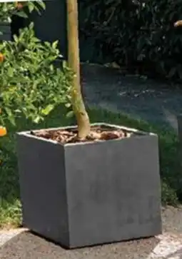 Bauhaus Květináče Millennium nabídka