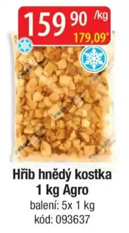 Qanto Hřib hnědý kostka Agro nabídka