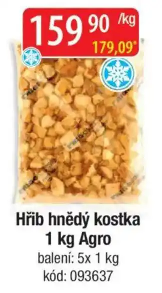 Qanto Hřib hnědý kostka Agro nabídka