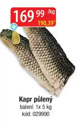 Qanto Kapr půlený nabídka