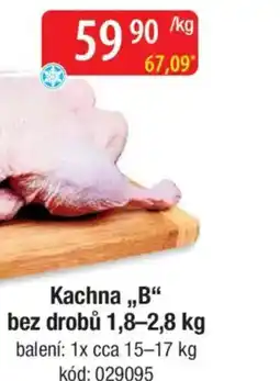 Qanto Kachna,,B" bez drobů nabídka