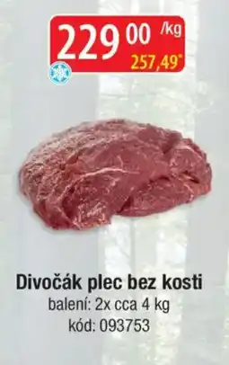 Qanto Divočák plec bez kosti nabídka