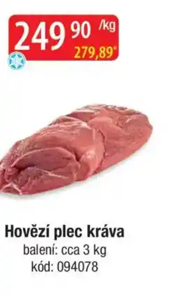 Qanto Hovězí plec kráva nabídka