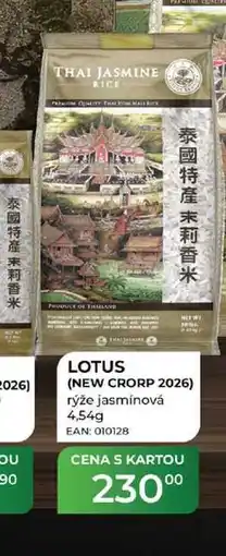 Tamda Foods THAI JASMINE RICE (NEW CRORP 2026) rýže jasmínová nabídka