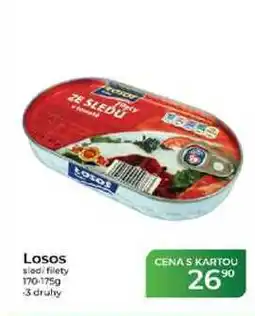 Tamda Foods Losos sledi filety nabídka