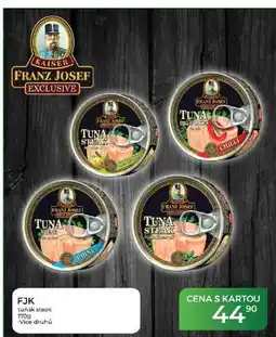 Tamda Foods FJK tuňák steak nabídka