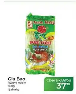Tamda Foods Gia Bao Ryzové nudle nabídka