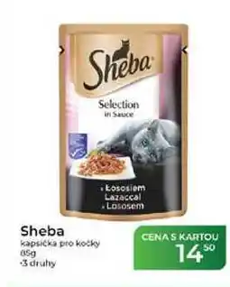 Tamda Foods Sheba kapsička pro kočky nabídka