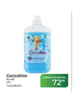 Tamda Foods Coccolino Aviváž nabídka