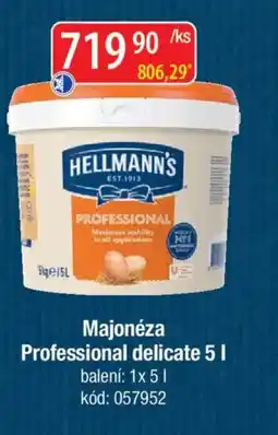 Qanto HELLMANN'S Majonéza Professional delicate nabídka