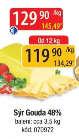 Qanto Sýr Gouda 48% nabídka