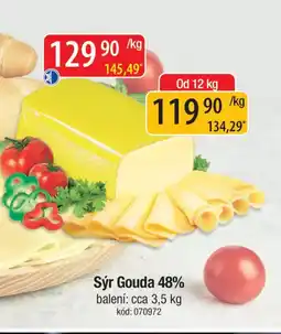 Qanto Sýr Gouda 48% nabídka