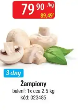 Qanto Žampiony nabídka