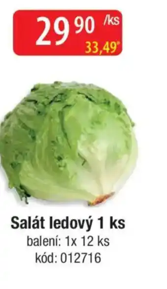 Qanto Salát ledový nabídka