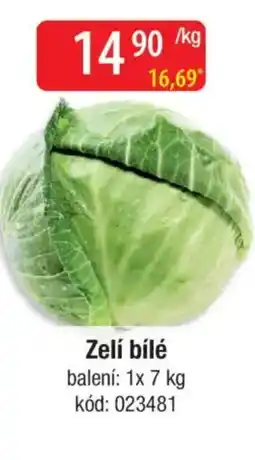 Qanto Zelí bílé nabídka