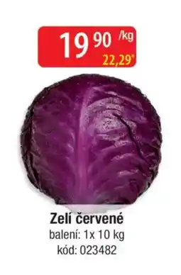 Qanto Zelí červené nabídka