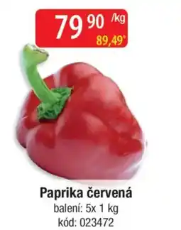 Qanto Paprika červená nabídka