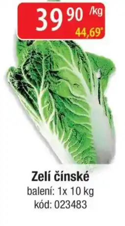 Qanto Zelí čínské nabídka