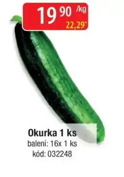 Qanto Okurka nabídka