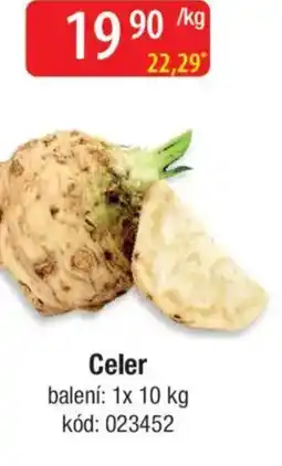 Qanto Celer nabídka