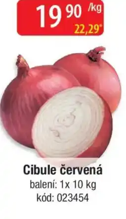 Qanto Cibule červená nabídka