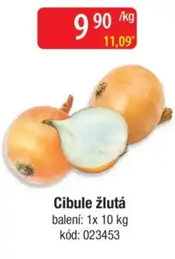 Qanto Cibule žlutá nabídka