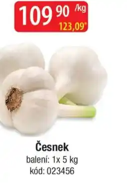 Qanto Česnek nabídka