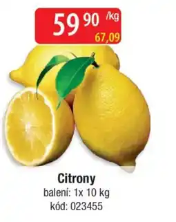 Qanto Citrony nabídka