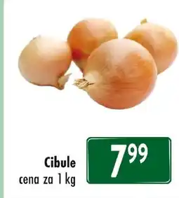 Qanto Cibule nabídka