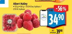 Albert Albert Maliny nabídka