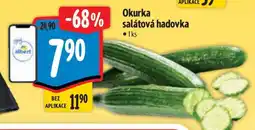 Albert Okurka salátová hadovka nabídka